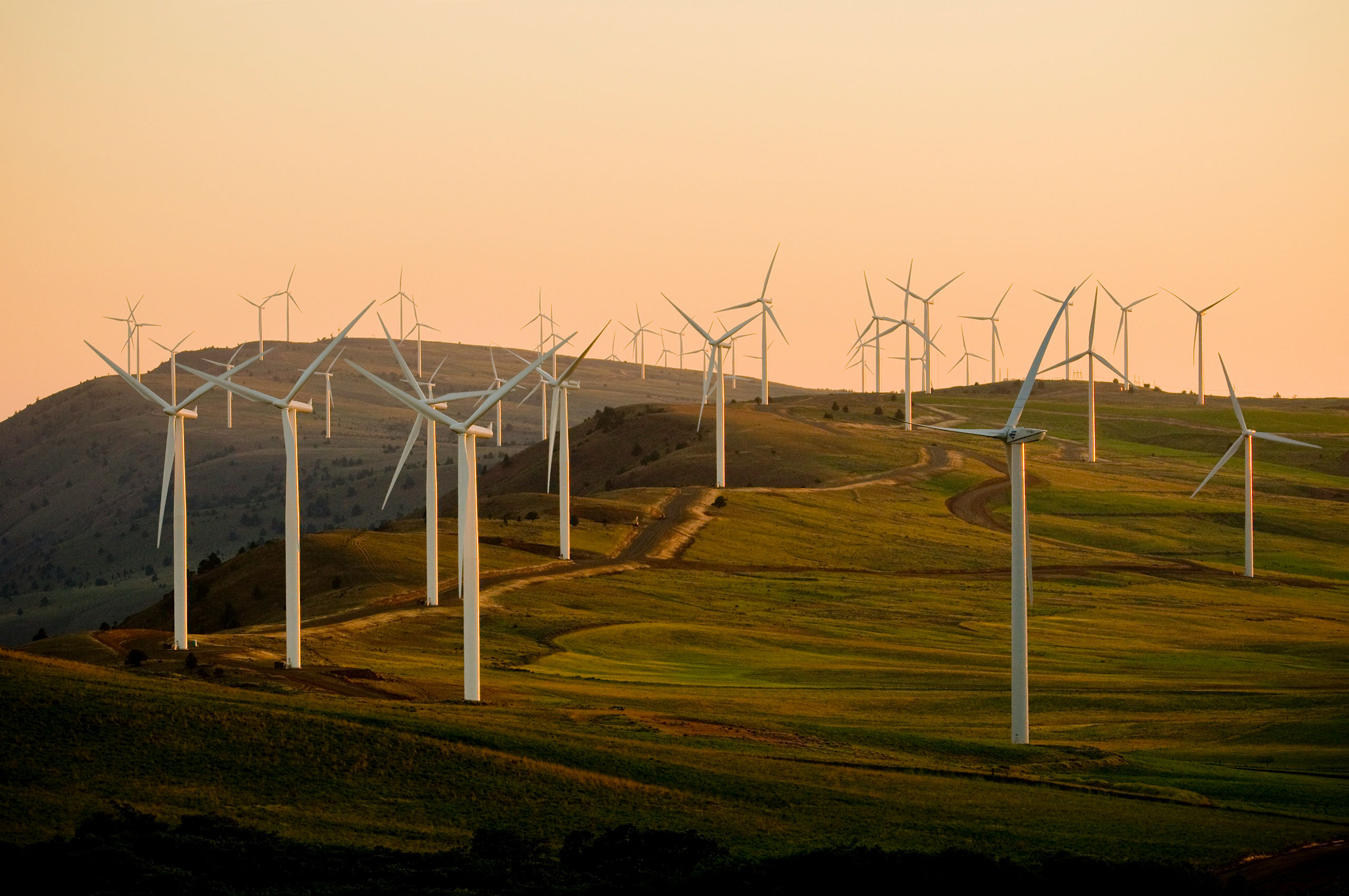 renewable energy